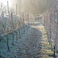 Cascina Piano Inverno